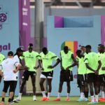 Coupe du monde de football : le Sénégal, la « hargne » de génération en génération
