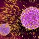 Cet anticorps neutralisant s’attaque à tous les variants connus du coronavirus