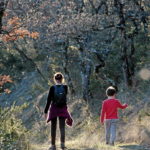 Pourquoi l’inceste entre cousins n’est toujours pas reconnu par la loi