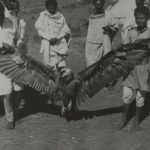 « Poussière d’oiseaux », de Julien Bondaz : l’ethnologie coloniale dévoreuse d’oiseaux