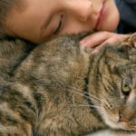 Un chat peut-il reconnaître son maître à l’odeur ?