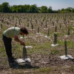 Climat : la Commission affaiblit son objectif de réduction des émissions carbone pour 2040 dans l’espoir d’en faciliter l’adoption