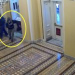 Assaut du Capitole : Un assaillant qui projetait d’assassiner des agents du FBI condamné à la perpétuité