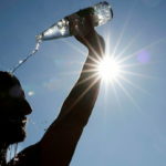 Pourquoi « canicule » veut dire « petite chienne »