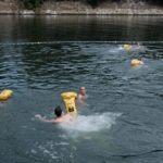 Premières baignades dans la Seine à Paris, dans une eau à la qualité « exceptionnelle »
