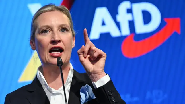 Croisements de courbe en Allemagne : l’AfD s’envole dans les sondages tandis que le chancelier Merz chute