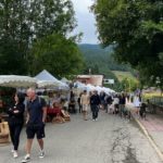 Dermatose nodulaire : “On a dû repenser tout le programme”, dans le Vercors, la fête du Bleu s’ouvre sans animaux d’élevage