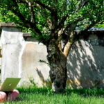 Ces 20 villes où il fait vraiment bon télétravailler à moins de deux heures de Paris