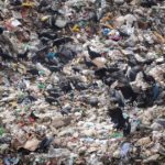 Comment la grande expérimentation européenne d’incinération des déchets est devenue un sale casse-tête