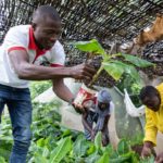 La croissance du Mali « résiliente », même sans Barrick Gold