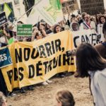 Loi Duplomb : la réautorisation de l’acétamipride, un pied de nez à la science qui inquiète à juste titre