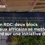 Crise en RDC: deux blocs régionaux africains se mettent d’accord sur une initiative de paix unifiée