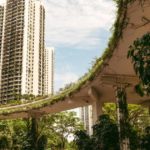 Forest City, cette ville fantôme de Malaisie qui se rêve en paradis fiscal