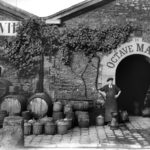 Bercy en images : l’histoire vinicole à travers les archives de l’Agence Roger-Viollet