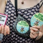 Loi Duplomb : les études sur l’acétamipride “s’accumulent” et montrent des “toxicités chroniques très importantes”, soulignent deux spécialistes