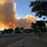 Moyens, habitants évacués et confinés, route coupée…. Ce que l’on sait de l’incendie qui frappe Martigues