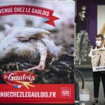Maître Coq et Le Gaulois prennent un engagement pour leurs poulets jugé « historique » par L214