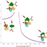 MEDT insights into the mechanism and selectivity of the (3 + 2) cycloaddition of (Z)-N-methyl-C-(2-furyl)-nitrone with but-2-ynedioic acid and the bioactivity of the reaction products