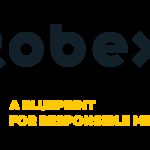 Robex reste en bonne voie pour une première coulée d’or à Kiniero au quatrième trimestre de l’année civile 2025