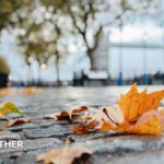 Frost, wind and rain forecast as autumn warmth fades for many